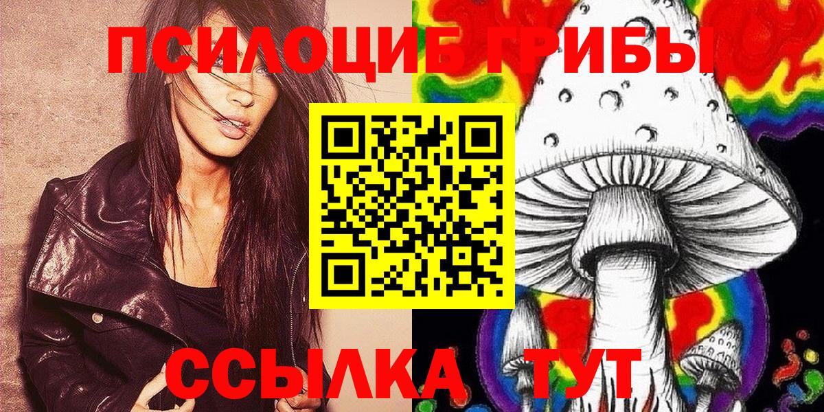 Псилоцибиновые грибы Psilocybine cubensis  Вход с VPN  Кандалакша 